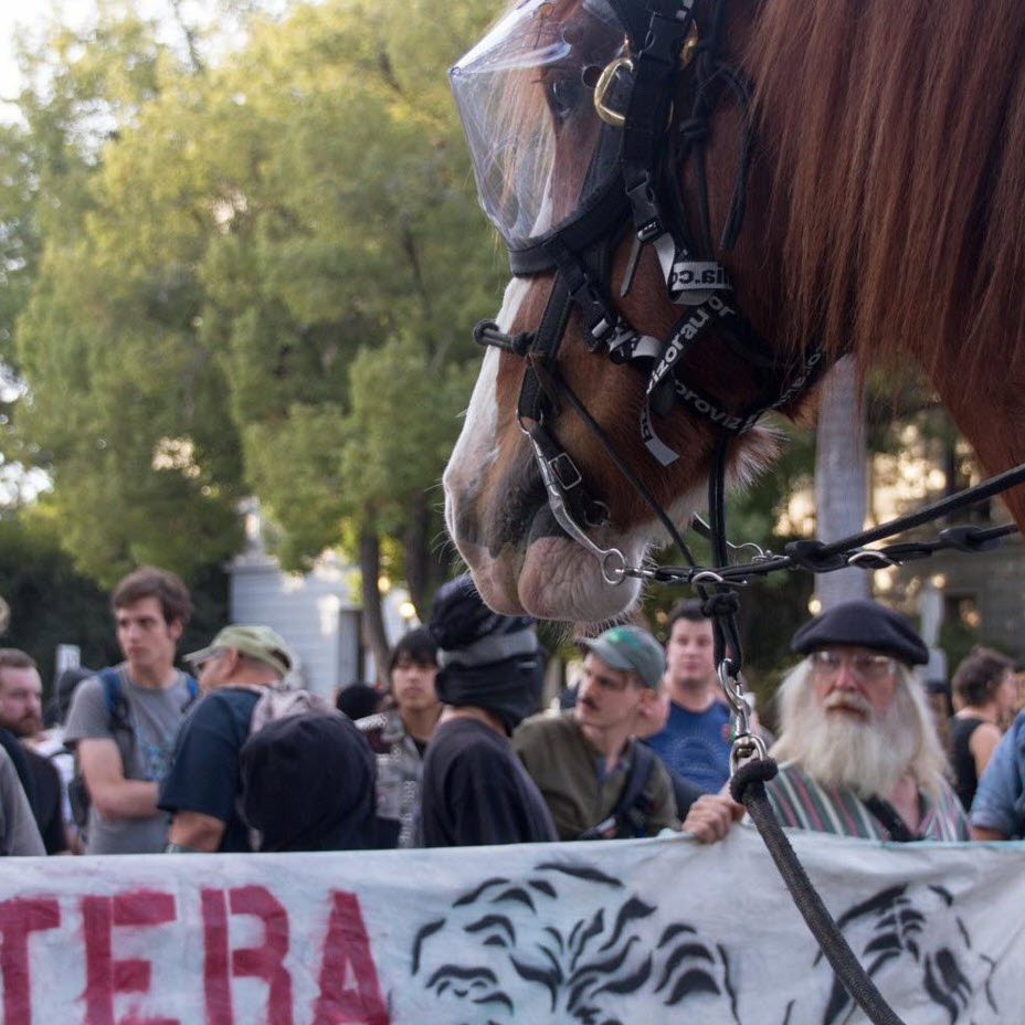 Superior Mounted Horse Patrol Police Vizor