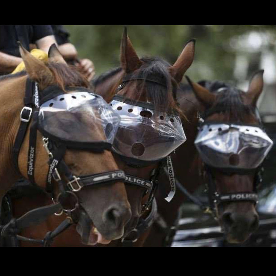Superior Mounted Horse Patrol Police Vizor