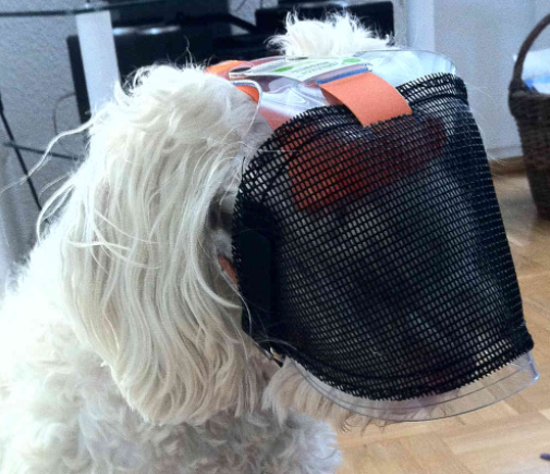 OptiVizor - Reg. Snout - Clear/Dark UV Tint w/Mesh