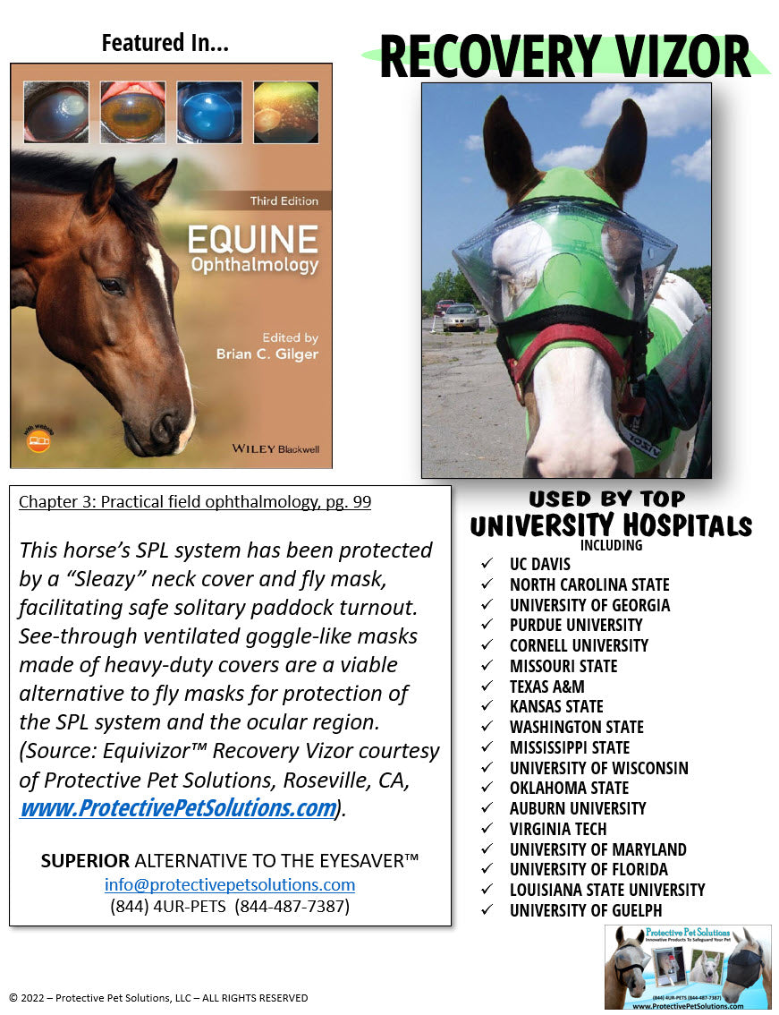 Recovery Vizor - Clear UV Tint