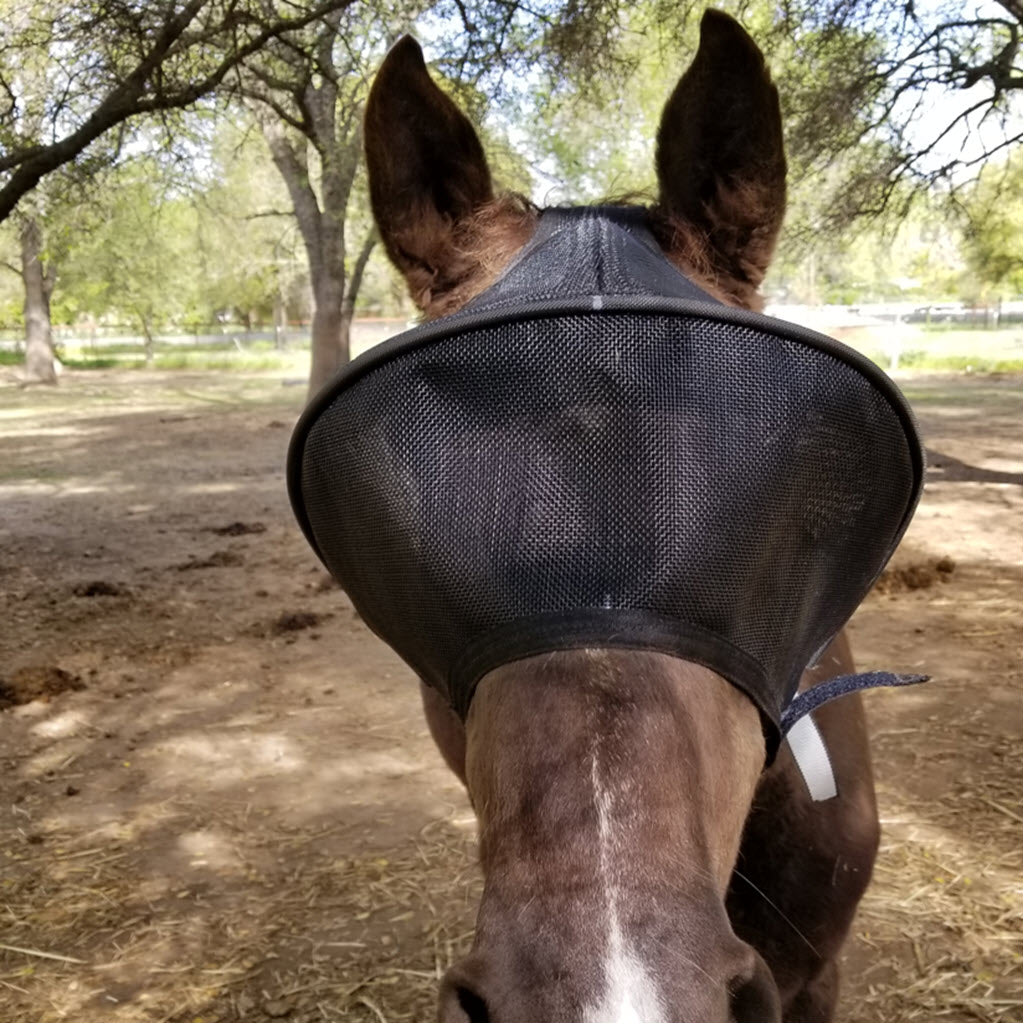 Solar Vizor Medical Eye Condition Horse Fly Mask