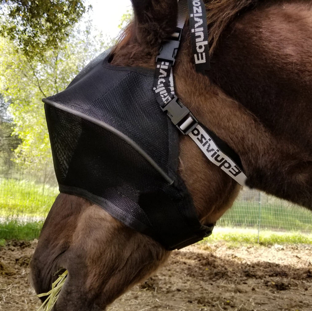 Solar Vizor Medical Eye Condition Horse Fly Mask