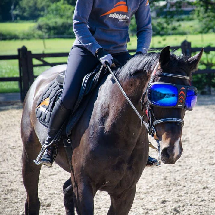 eVysor Active Horse UV Eye Protection
