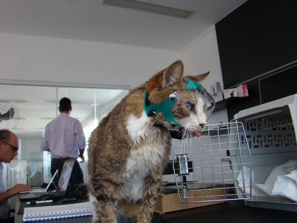 Optivizor - Short Snout Version - Dark UV Tint