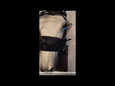 Padding Set By PPS