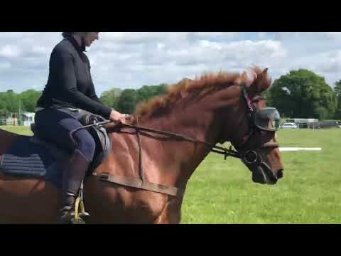 eVysor - UV Horse Riding Goggles!