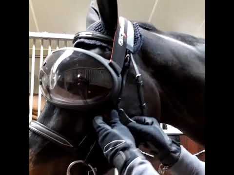 eVysor - UV Horse Riding Goggles!