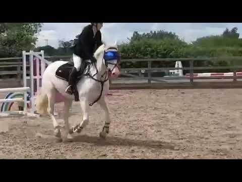 eVysor - UV Horse Riding Goggles!