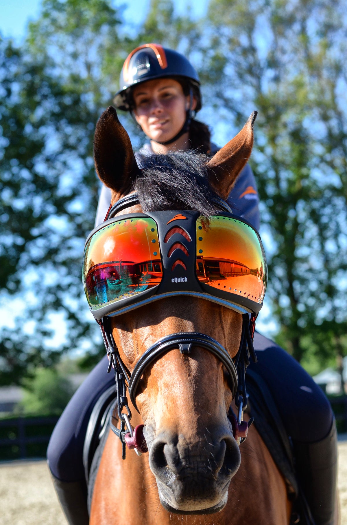 horse with goggles eVysor