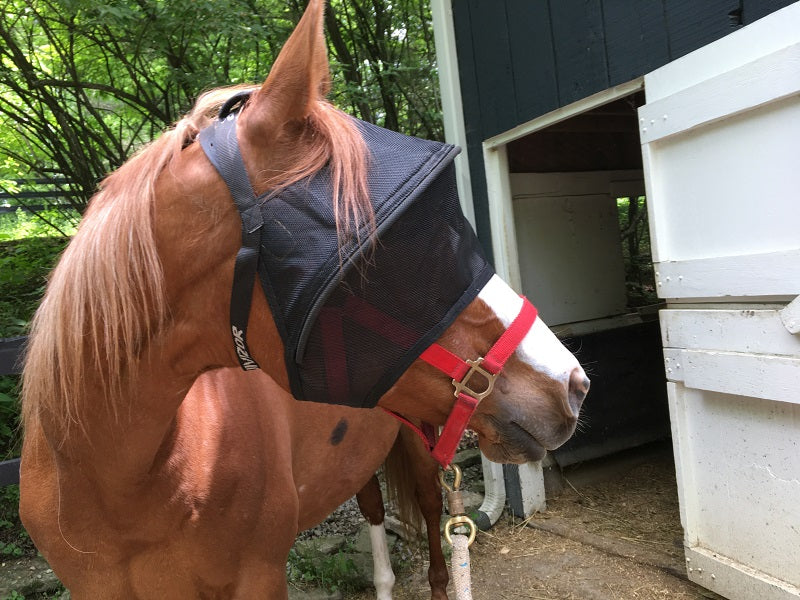 Solar Vizor Fly Mask - Standard Style