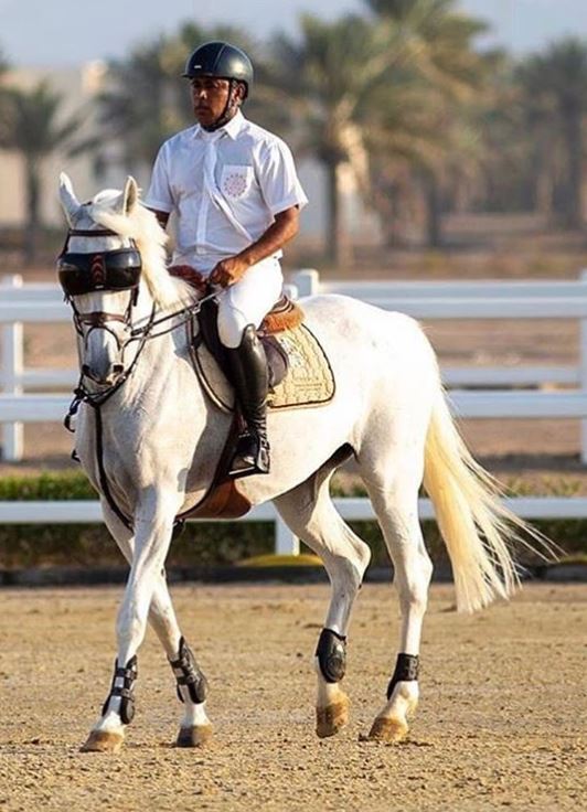 eVysor - UV Horse Riding Goggles!